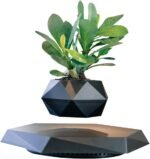 Floating magnetic levitating plant pot with greenery – Olofze UAE