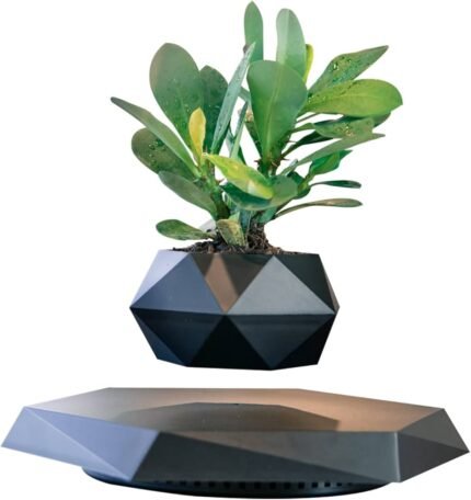 Floating magnetic levitating plant pot with greenery – Olofze UAE