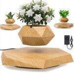 Floating wooden levitating plant pot with green plant – Olofze UAE