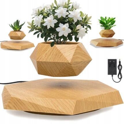 Floating wooden levitating plant pot with green plant – Olofze UAE