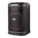 BTS 2103 Bluetooth karaoke speaker with 8 inch bass