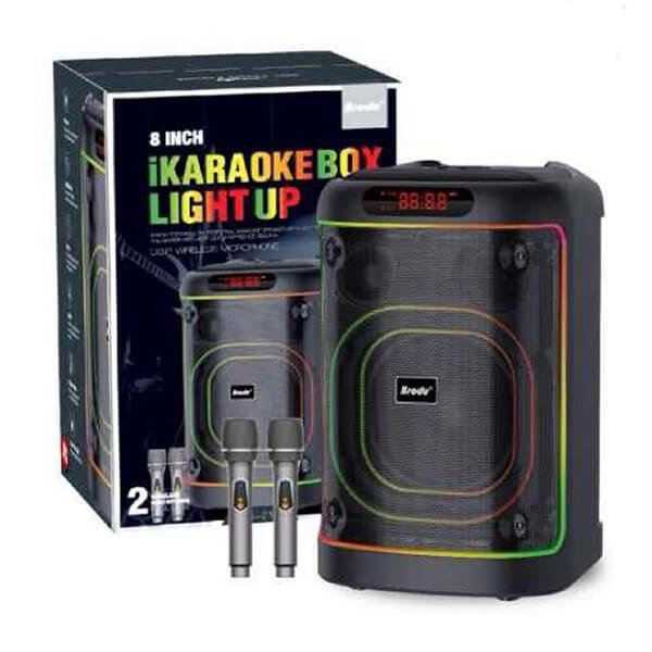 BTS 2103 Bluetooth karaoke speaker with 8 inch bass